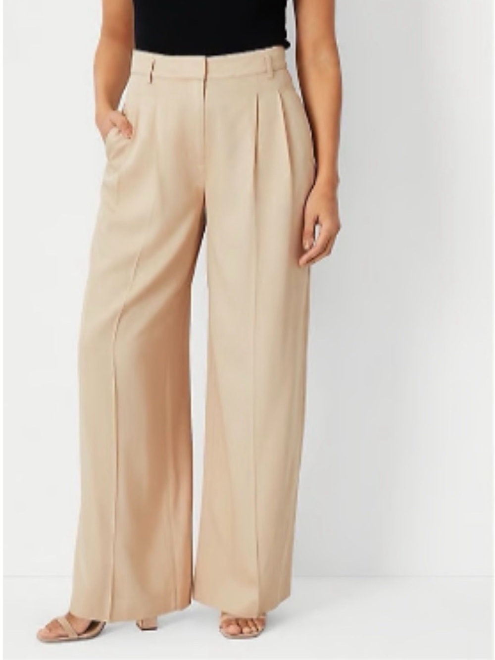 Ann Taylor Wide-Leg Trousers in Light Beige